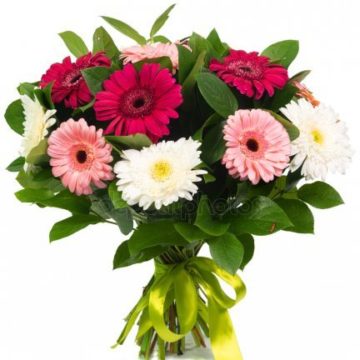 As part of a bouquet of several shades of gerbera, ruscus greens.