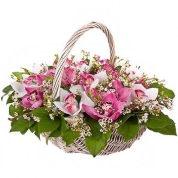 Basket with orchid