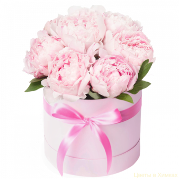 Peonies are available from May to August.