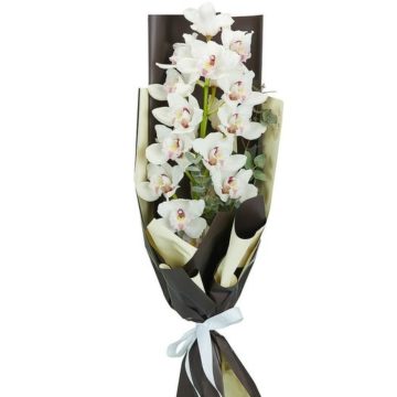 An exquisite bouquet of one branch the Сymbidium orchid.