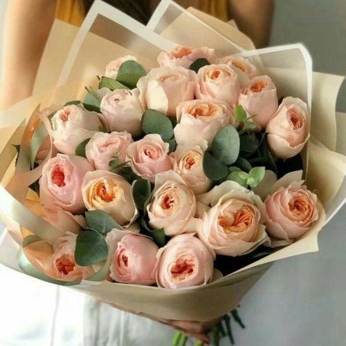 Bouquet of 25 garden english roses